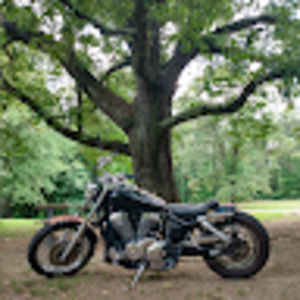 Meet your Posher, James d